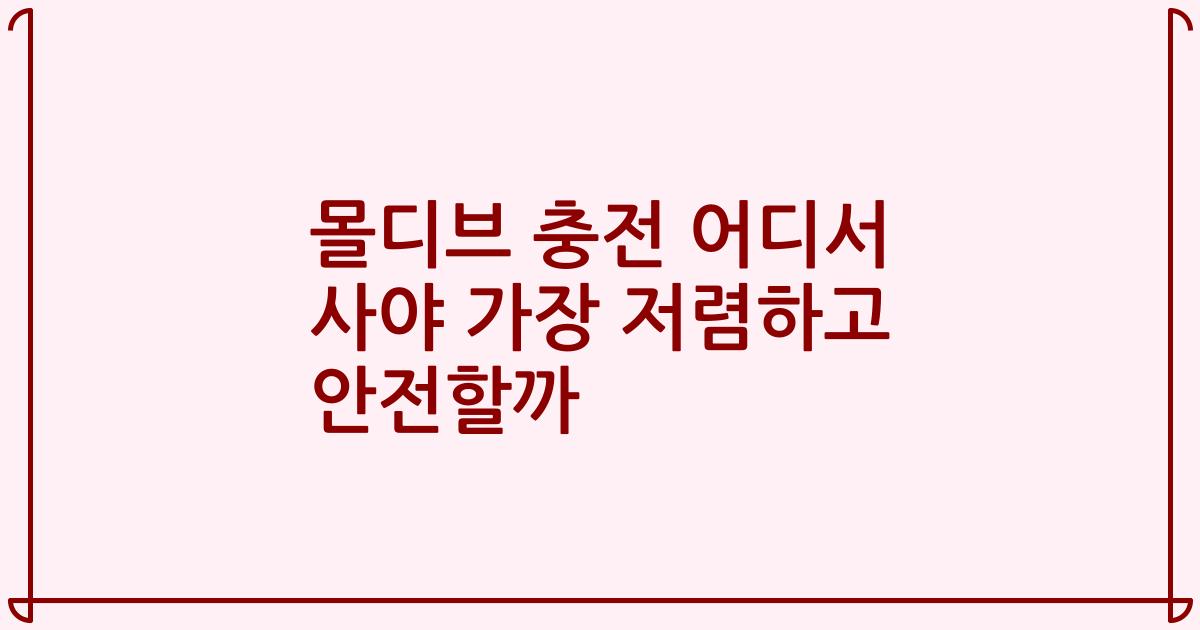 몰디브 충전 어디서 사야 가장 저렴하고 안전할까