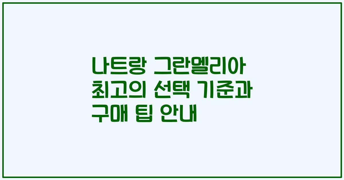 나트랑 그란멜리아 최고의 선택 기준과 구매 팁 안내
